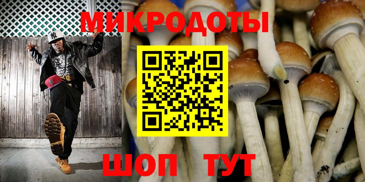 Галлюциногенные грибы GOLDEN TEACHER  Вход с VPN  Шахты 