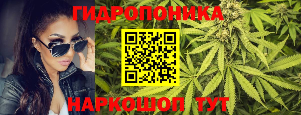 МАРИХУАНА OG Kush  Каннабис семена  Бошки марихуана OG Kush  Вход с VPN  Шахты  Марихуана сатива 